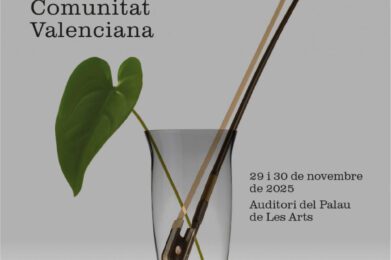 Federació de Societats Musicals de la Comunitat Valenciana 90 Cartel FSMCV VII Festival CaixaBank dOrquestres de la Comunitat Valenciana