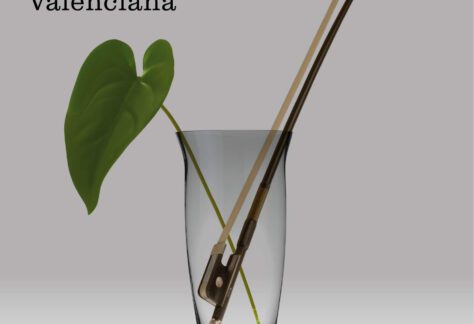 VII Festival Orquestres