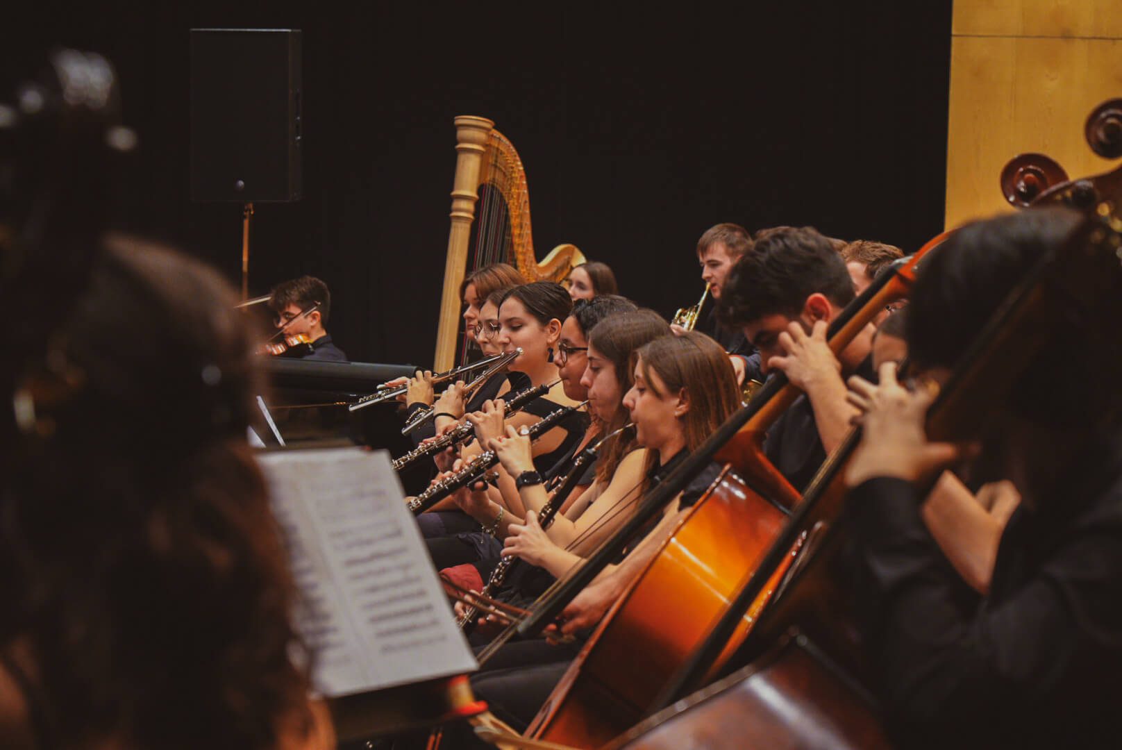 Foto 2 JOS a Les Arts